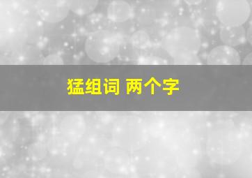 猛组词 两个字